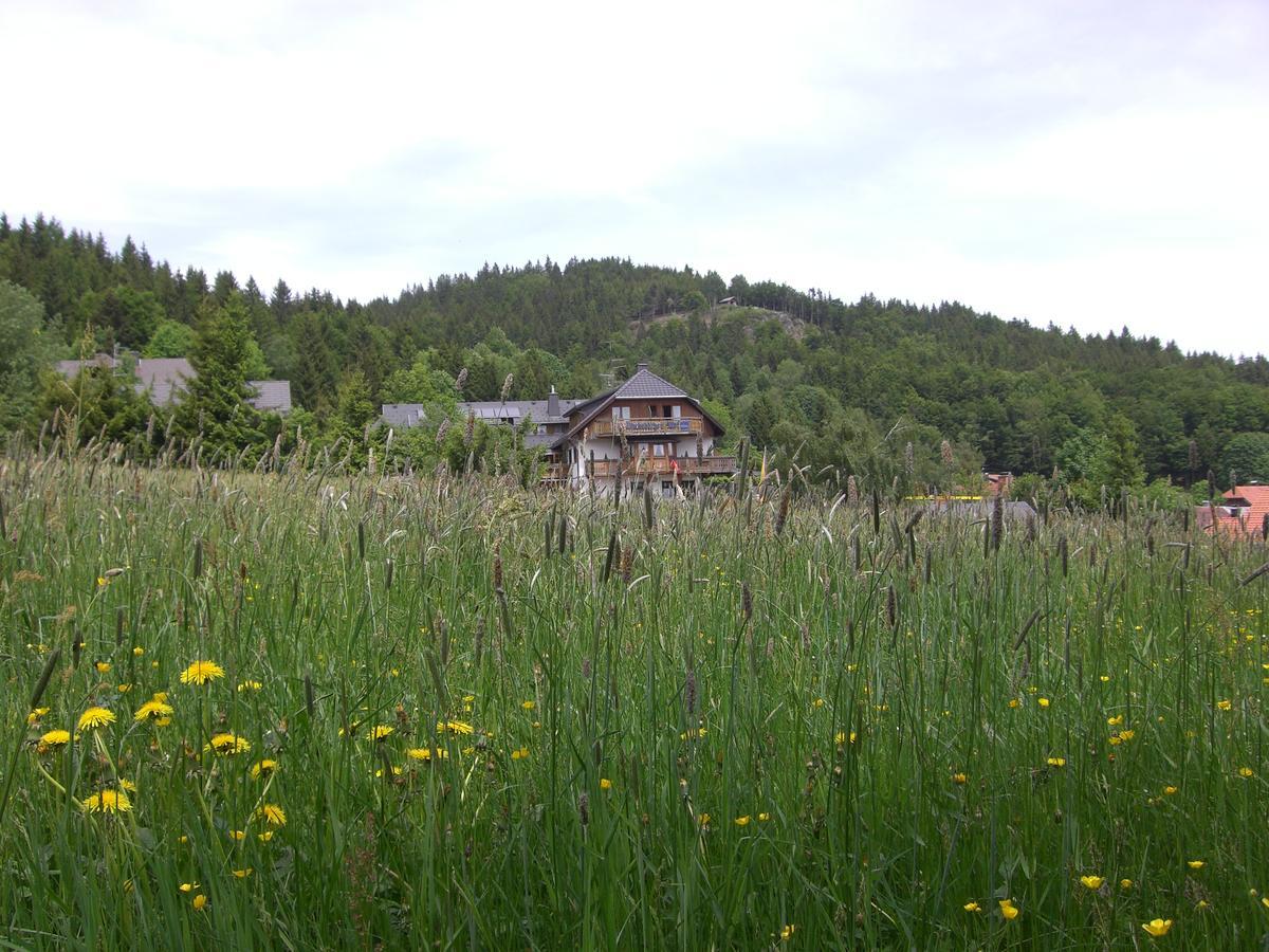 Hotel Dachsberger-Hof Wittenschwand Buitenkant foto